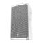 ELX200 15" Passive Speaker, White