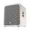 Electro Voice ELX200-18SP Powered Subwoofer-White