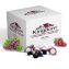 Kingdom Prefilled Communion Cups with Wafers - Box of 500 - Red Grape Juice