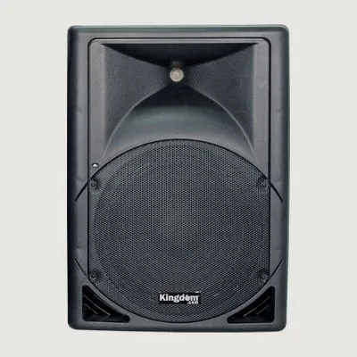 VPRO12N Versa Pro loud speaker monitor 12 inch
