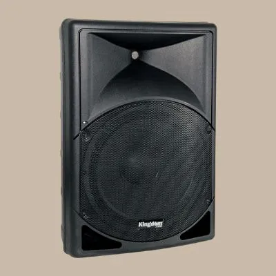 VPRO15N Versa Pro loud speaker monitor 15 inch